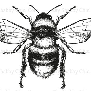 Waterslide Stickers Shabby Chic Furniture Image Transfer Vintage Antique Home Craft Label Crafts Scrapbooking Card Making DIY Bee Drawing