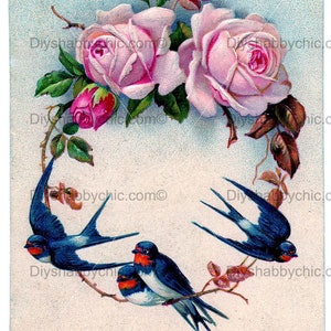Waterslide Decals Shabby Chic Furniture Image Transfer vintage Antique Home Craft Label Crafts Scrapbooking Card Making DIY Swallows