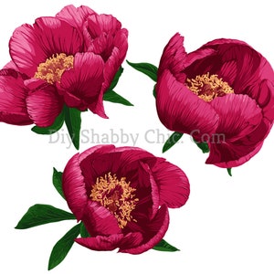 Tobogán de agua Calcomanías Shabby Chic Muebles Transferencia de imágenes Vintage Antique Home Craft Label Scrapbooking Card Making DIY Burgundy Peony