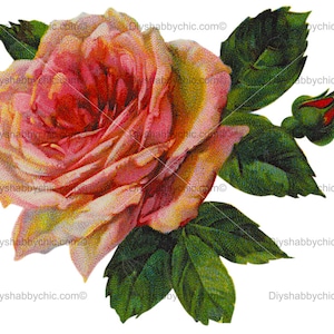 Waterslide Decals Shabby Chic Furniture Image Transfer vintage Antique Home Craft Label Crafts Scrapbooking Card Making DIY Big Rose