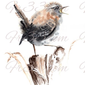 Tobogán de agua Calcomanías Shabby Chic Muebles Transferencia de imagen Vintage Antigüedades Caseras Artesanía Artesanías Scrapbooking Card Making DIY Chirping Bird