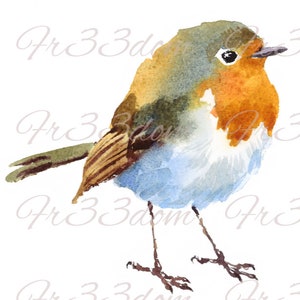 Schneiden & Kleben, Selbstklebende Aufkleber, Möbel, Wandaufkleber, klar, Transfer, Kunst, Collage, Mixed Media, Kinder Aufkleber, 194 Aquarell Robin