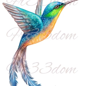 Décalques de toboggan, bricolage Shabby Chic, transfert de meubles, transfert d'image vintage, Antique Home Craft 193 Colibri aquarelle