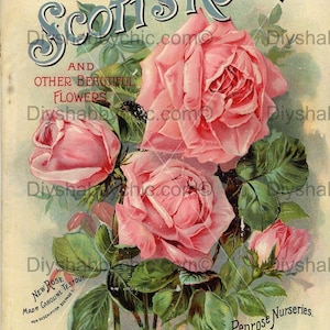 Waterslide Decals Shabby Chic Furniture Image Transfer vintage Antique Home Craft Label Crafts Scrapbooking Card Making DIY Scotts Roses