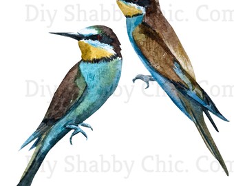 Calcomanías de tobogán, Diy Shabby Chic, Transferencia de muebles, Transferencia de imagen vintage, Artesanía casera antigua 19 pájaros hermosos