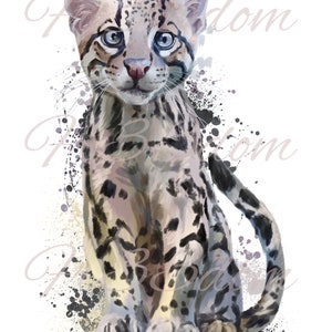 Tobogán de agua Calcomanías Shabby Chic Muebles Transferencia de imagen Vintage Antigüedades Home Craft Label Crafts Scrapbooking Card Making Baby Snow Leopard