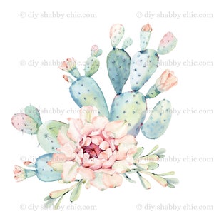 Waterslide Decals Shabby Chic Furniture Image Transfer vintage Antique Home Craft Label Crafts Scrapbooking Card Making DIY Cactus Flower