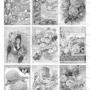 Waterslide Decalcomanie Shabby Chic Mobili Image Transfer Vintage Antique Home Craft Label Crafts Scrapbooking Card Making FAI DA TE Seedsbw