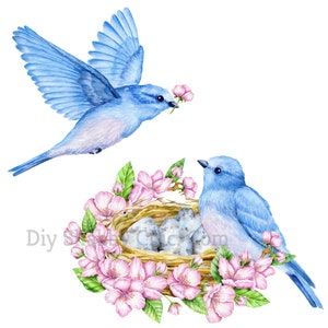 Scialle acqueo Decalcomanie Shabby Chic Mobili Immagine Trasferimento Vintage Antique Craft Label Crafts Scrapbooking Card Making FAI DA TE Uccelli innamorati