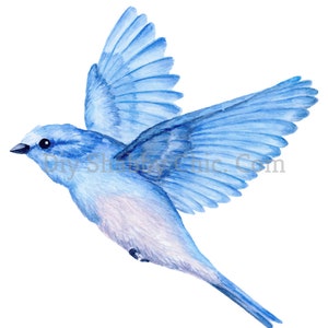 Tobogán de agua Calcomanías Shabby Chic Muebles Transferencia de imágenes Vintage Artesanías Artesanías Scrapbooking Card Making DIY Flying Bird