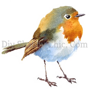 Schnitt und Stick Klar weiß Möbel Wand Selbstklebende Aufkleber Vinyl Perlmutt Bastelpapier Aquarell Rotkehlchen