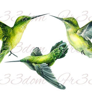 Tobogán de agua Calcomanías Shabby Chic Muebles Transferencia de imagen Vintage Antigüedades Caseras Artesanía Artesanías Scrapbooking Card Making DIY The Hummingbirds