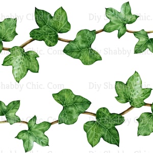 Waterslide Calcomanías Shabby Muebles Chic Transferencia vintage antigua casa artesanía artesanías tarjeta de scrapbooking haciendo diy ivy