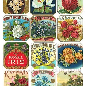 Waterslide Stickers Shabby Chic Furniture Image Transfer Vintage Antique Home Craft Label Crafts Scrapbooking Card Making DIY Cigar