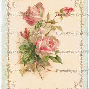 Waterslide Decals Shabby Chic Furniture Image Transfer vintage Antique Home Craft Label Crafts Scrapbooking Card Making DIY Ivy Rose