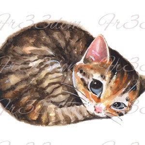 Waterslide Decals Shabby Chic Meubles Image Transfer vintage Antique Home Craft Label Crafts Scrapbooking Card Making DIY Snuggled Cat