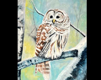 Barred Owl Art Print – Winter Woodland Wall Art