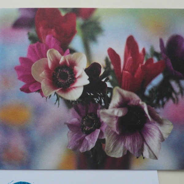 Postkarte Anemonen, Offsetdruck, analoge Fotografie, Glückwunschkarte, Geburtstagskarte