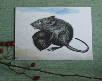 Postcard // Dormouse // Drawing // Offset printing // PEFC certified paper