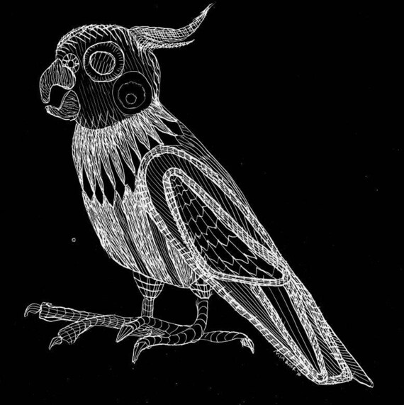 Cockatiel Bird ScratchBoard Drawing Print Etching Engraving. Etsy