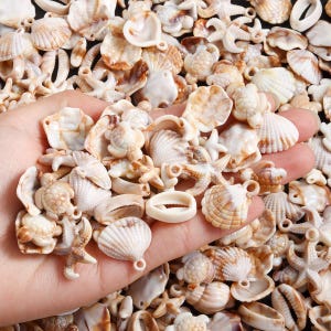 May include: A selection of small, beige seashells, starfish, and turtle-shaped charms. The charms are held in a hand, displaying the variety of shapes and textures. The shells vary in size and have a natural, organic appearance, ideal for crafting or coastal decor.