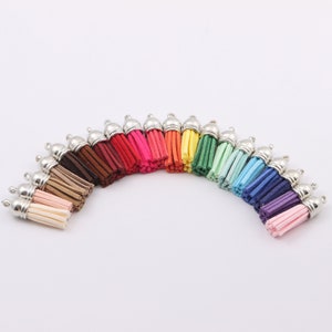 May include: A rainbow assortment of 20 small suede tassels with silver metal caps. The tassels are arranged in a semi-circle, with the colours transitioning from brown to pink, red, orange, yellow, green, blue, purple, and pink.