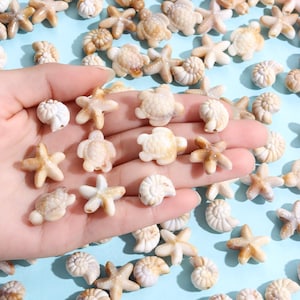 Peut inclure: Une collection de petites perles blanc cassé et beige en forme de tortues de mer, d'étoiles de mer et de coquillages en spirale. Les perles ont une finition mate et lisse et sont éparpillées sur une surface bleu clair, certaines dans une main.