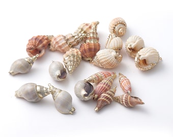 May include: A collection of seashells with gold accents. The shells are various shades of brown, white, and beige. Some shells have a spiral shape, while others are more rounded. The shells are arranged on a white background.