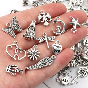 May include: A collection of silver charm pendants featuring various designs, including a butterfly, a tassel, a dragonfly, a heart, a flower, a wing, a crown, a moon with a rabbit, a starfish, an eagle, and a heart with the text "My Dog".