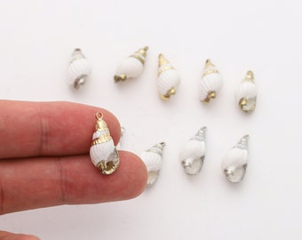 Conjunto de 5 pingentes de concha branca, concha pequena envolta em ouro e prata, para fazer joias.