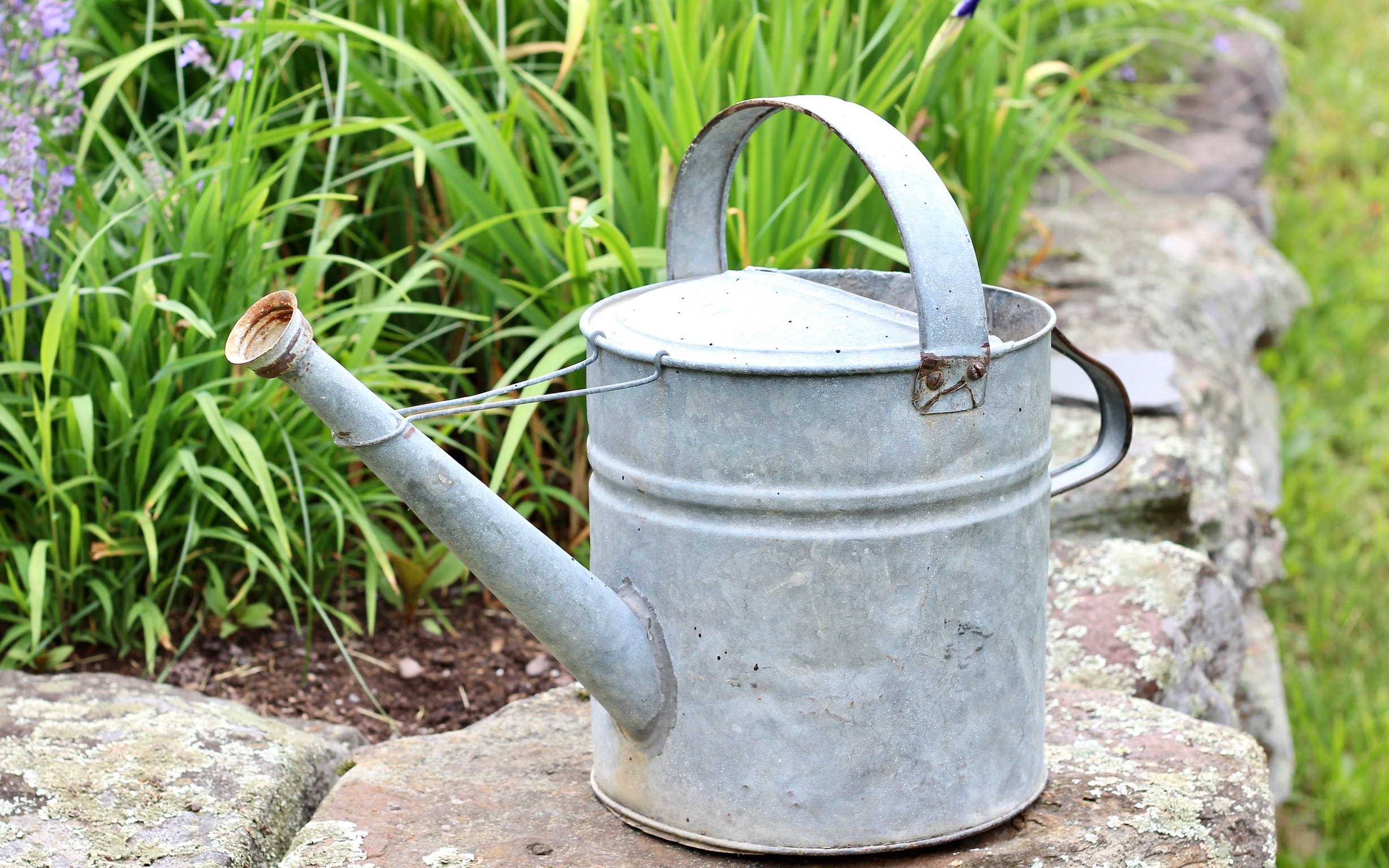 Vintage Galvanized Watering Can 10 Quart Rustic Garden Decor - Etsy New  Zealand