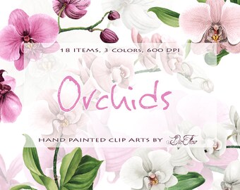 Download Orchids Clip Art Etsy