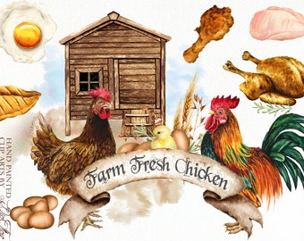 Watercolor Farm Chicken Clipart Eggs Meat Products Chicken Coop Rooster Clip Art Country Rustic Watercolor Illustration Design Farmhouse
