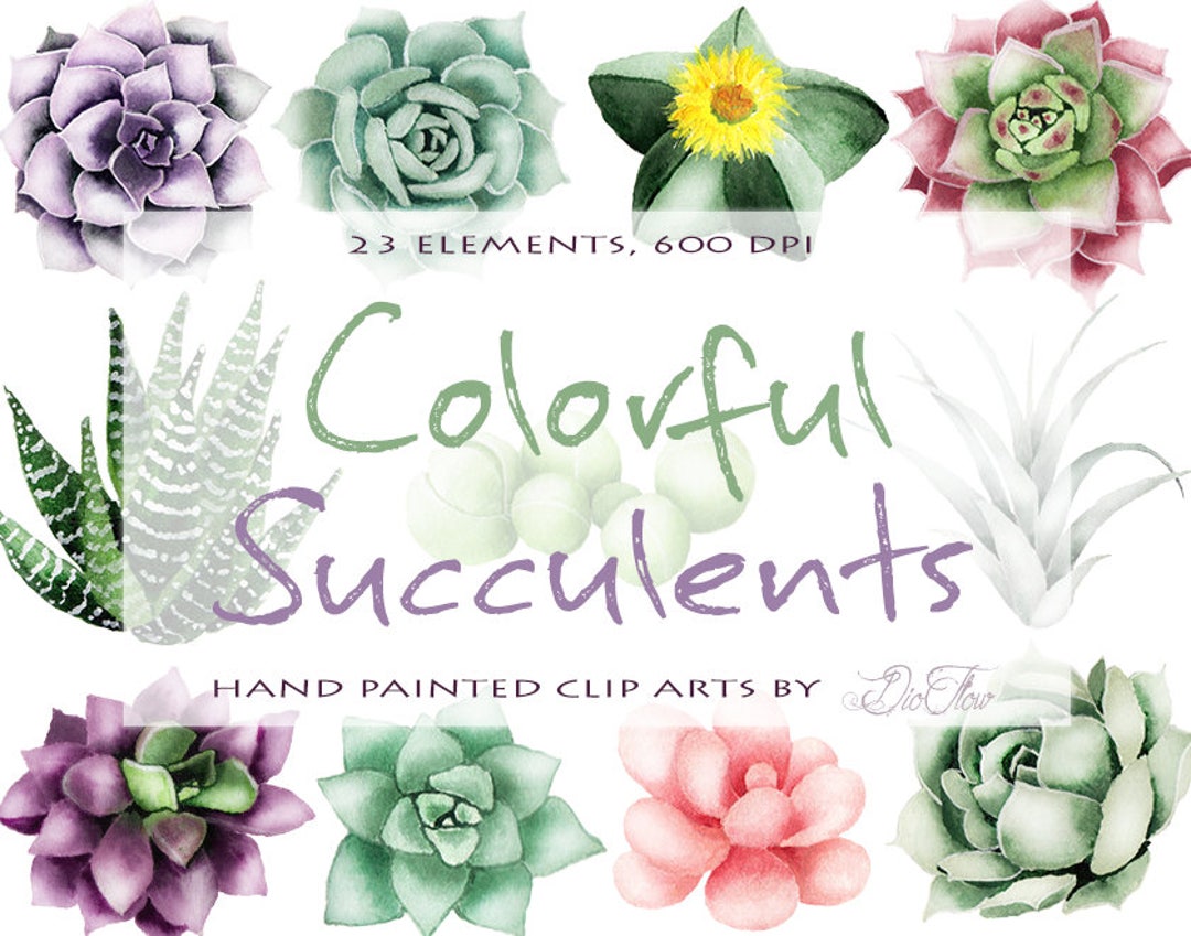 Watercolor Succulent Clipart Watercolor Cactus Clip Art Air - Etsy