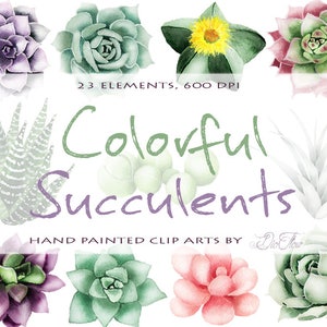 Acuarela succulente Clipart acuarela Cactus Clip Art Air Plant Aloe Echeveria cuerda perlas cebra Clipart invitación colorida invitación