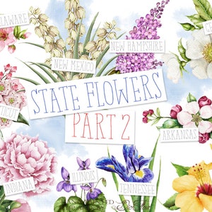 Aquarell Zustand Blumen Clipart Vereinigte Staaten Amerika Clip Art Symbole Illustration Emblematische USA Einladung Illustration Vektor Blume