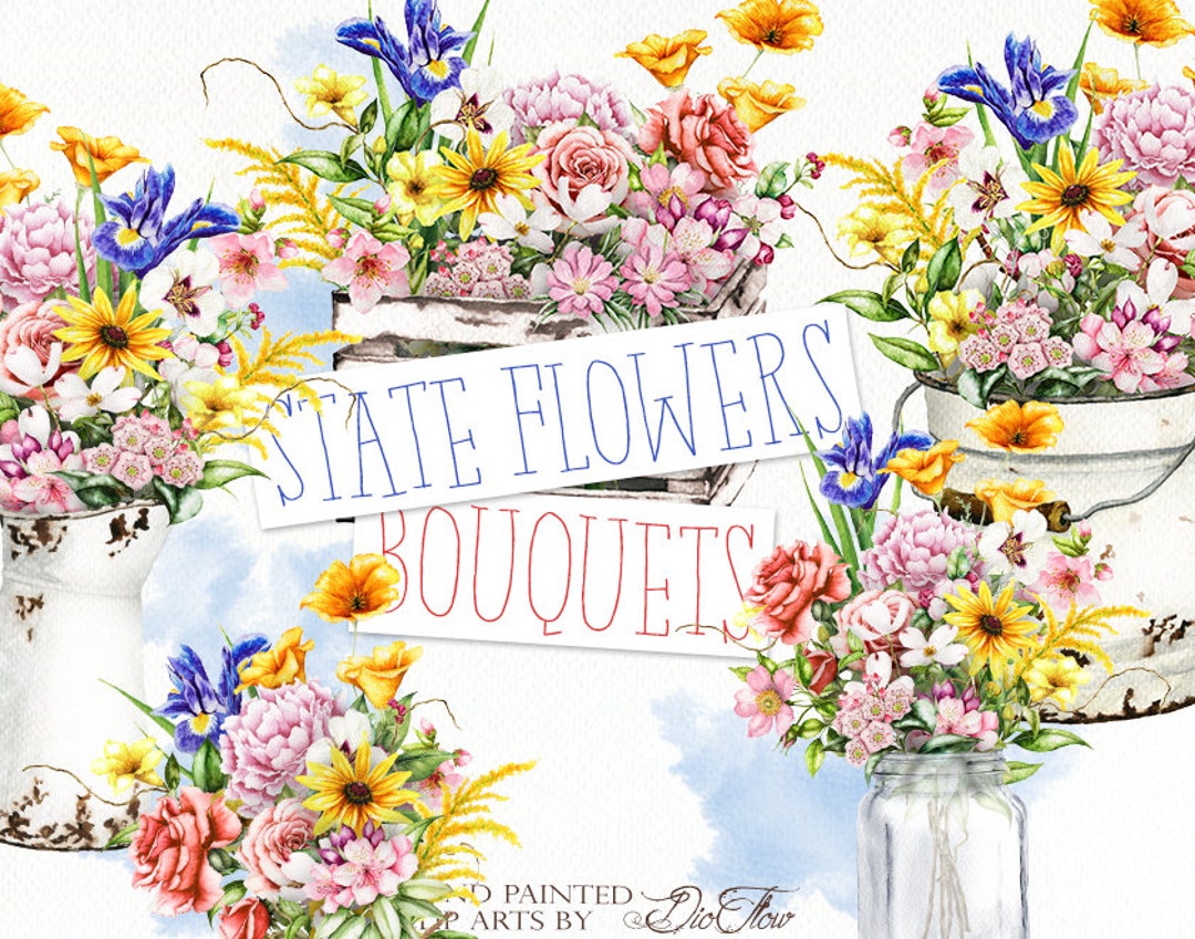 American Watercolor State Flowers Clipart United States America Clip Art Symbols Illustration ...