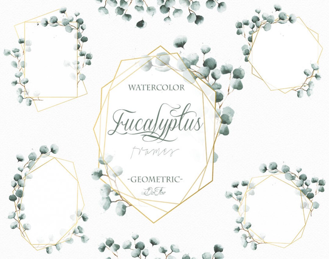 Watercolor Eucalyptus Geometric Clipart Frame Greenery Frames Clip Art ...