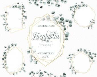 Watercolor Eucalyptus Clipart Frame Greenery Frames Clip Art Eucalyptus ...