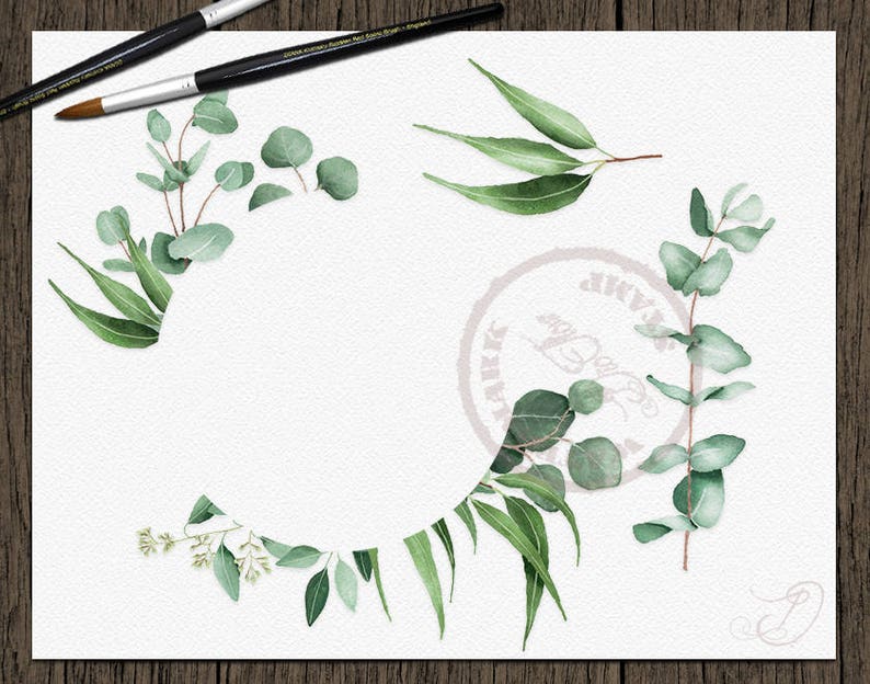 Watercolor Eucalyptus Clipart Greenery Clip Art Eucalyptus Greenery Baby Silver Dollar Leaf Green Leaves Illustration Vector Invitation Art image 3