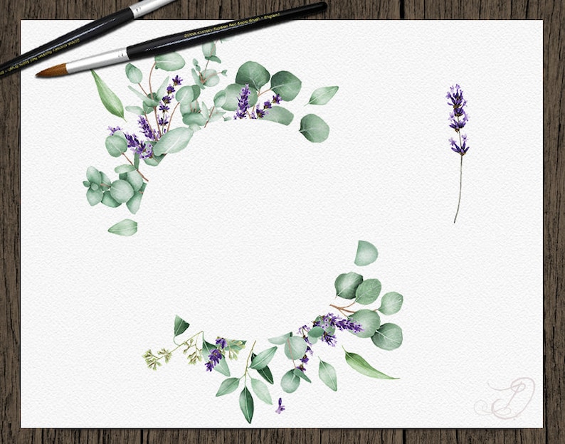 Download Watercolor Eucalyptus Lavender Clipart Frames Greenery ...