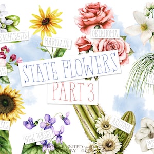 Watercolor State Flowers Clipart United States America Clip Art Symbols Illustration Emblematic USA Invitation Illustration Vector Flower