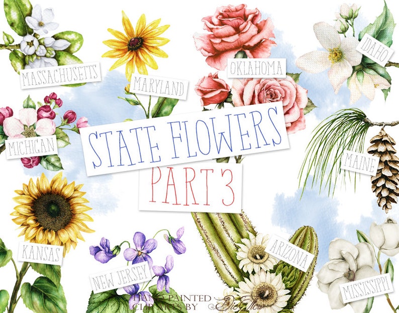 Watercolor State Flowers Clipart United States America Clip | Etsy