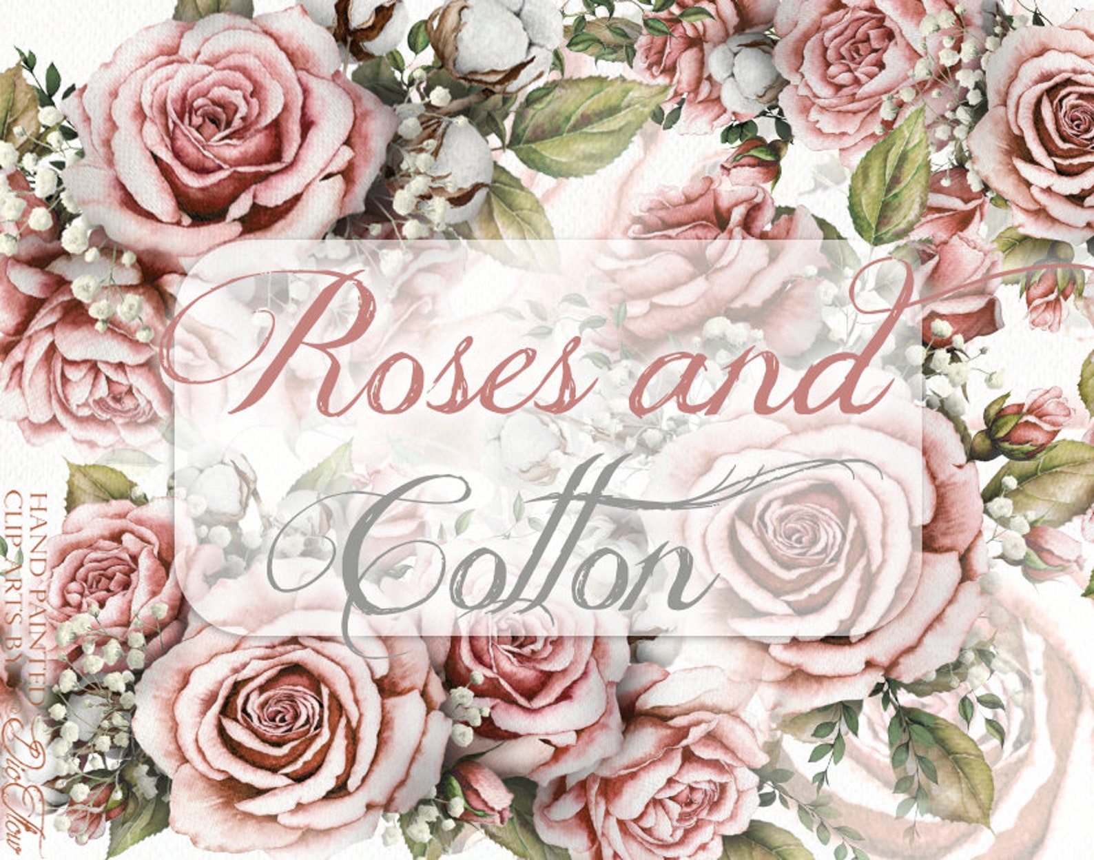 Watercolor Roses Cotton Clipart Vintage Rose Pink Blush Clip Art Rose ...
