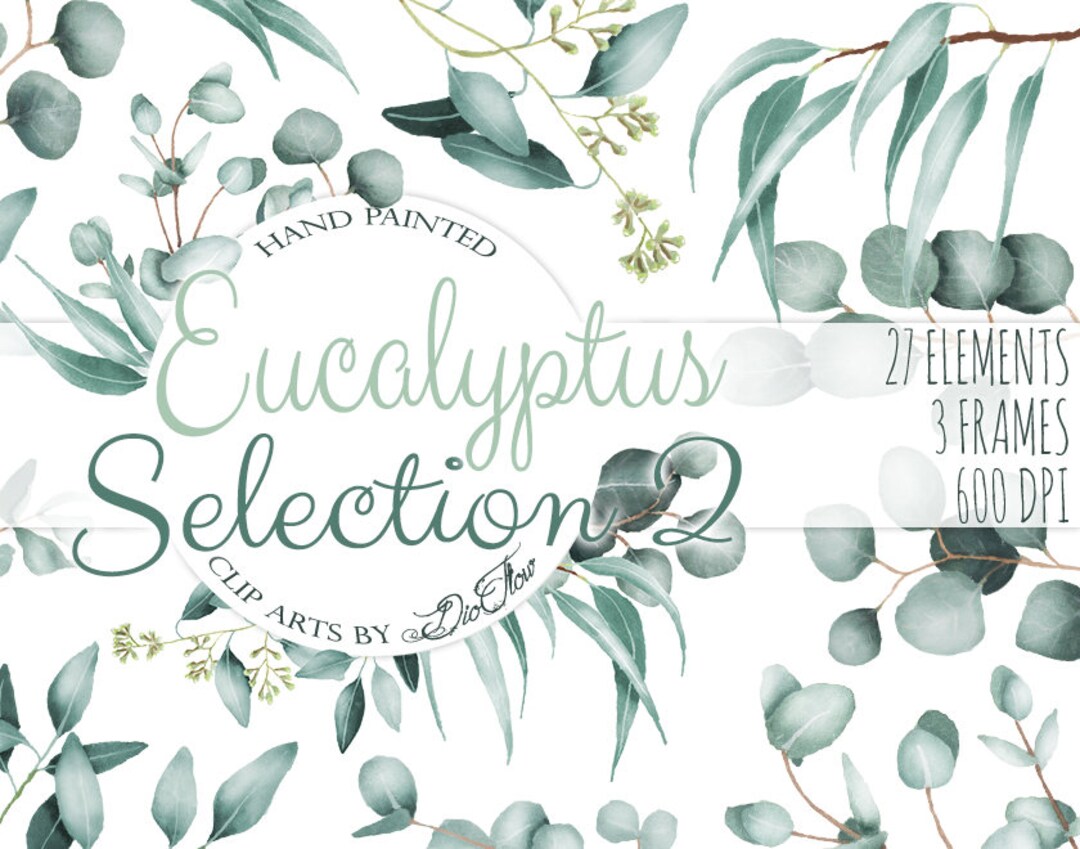 Watercolor Eucalyptus Clipart Greenery Clip Art Eucalyptus Greenery ...