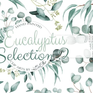 Aquarelle Eucalyptus Clipart Greenery Clip Art Eucalyptus Greenery Baby Silver Dollar Leaf Green Leaves Illustration Vector Invitation Teal