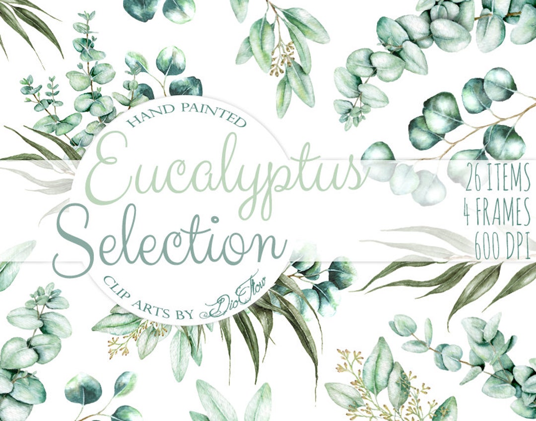 Watercolor Eucalyptus Clipart Greenery Clip Art Eucalyptus Greenery ...