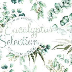 Watercolor Eucalyptus Clipart Greenery Clip Art Eucalyptus Greenery Baby Silver Dollar Leaf Green Leaves Illustration Vector Invitation Art