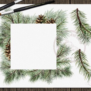 Watercolor Pine Clipart Winter Clip Art Christmas Branches Winter Pines Wedding Invitation Greenery White Xmas Leaves Evergreen Pine Cones image 4