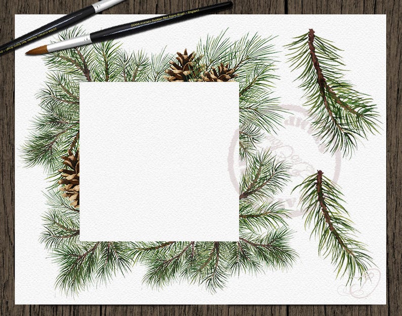 Watercolor Pine Clipart Winter Clip Art Christmas Branches Winter Pines Wedding Invitation Greenery White Xmas Leaves Evergreen Pine Cones image 4